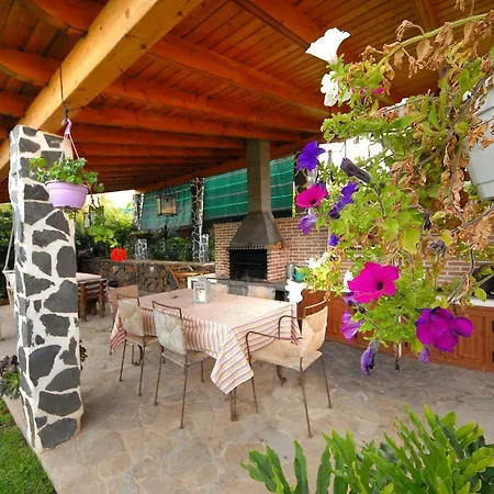 Casa Strelizia - *